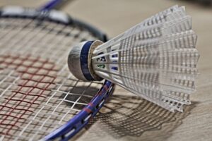 Badminton Smashing Maasdam
